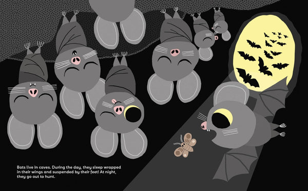 Where Do Animals Live? Children's Book