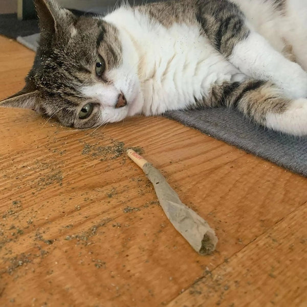 Cat Nip Joints
