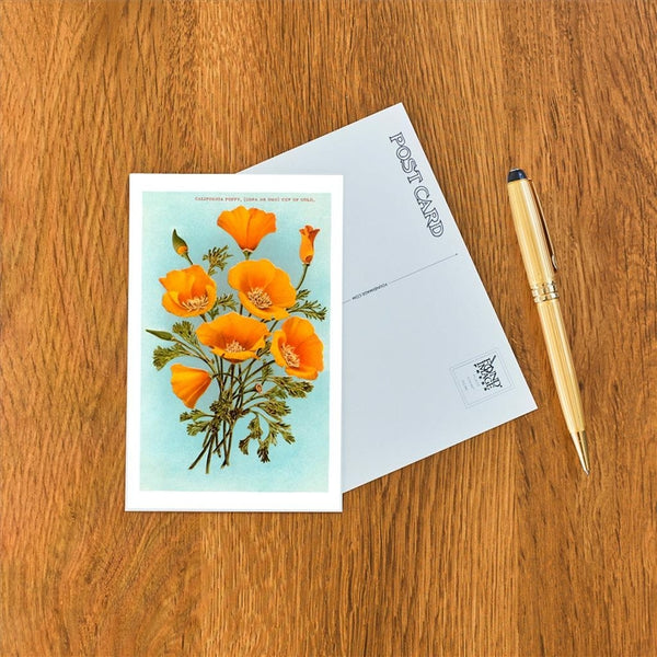 California Poppy Postcard