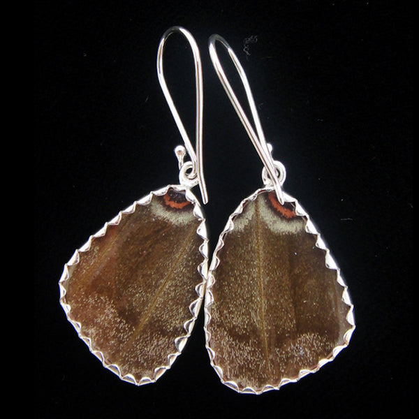 Butterfly Wing Earrings - Blue Morpho