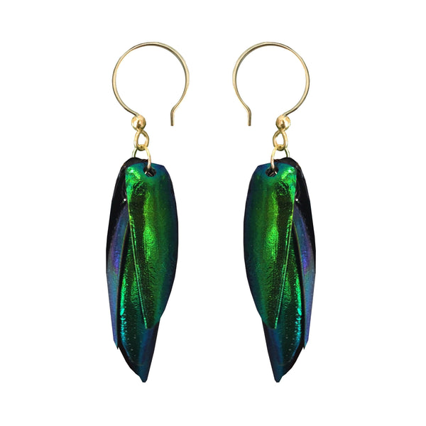 Jewel Beetle Earrings