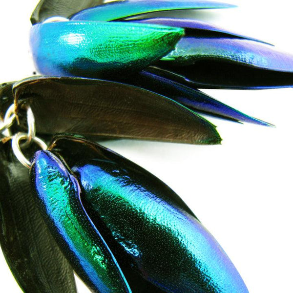 Jewel Beetle Earrings