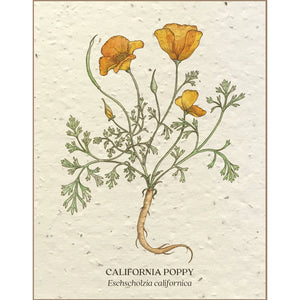 California Poppy - Plantable Seed Paper Card