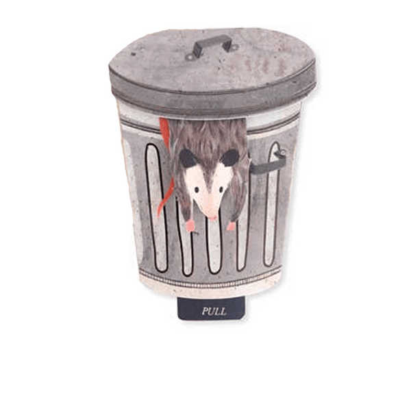 Let's Get Trashed Possum Pop-Up Card