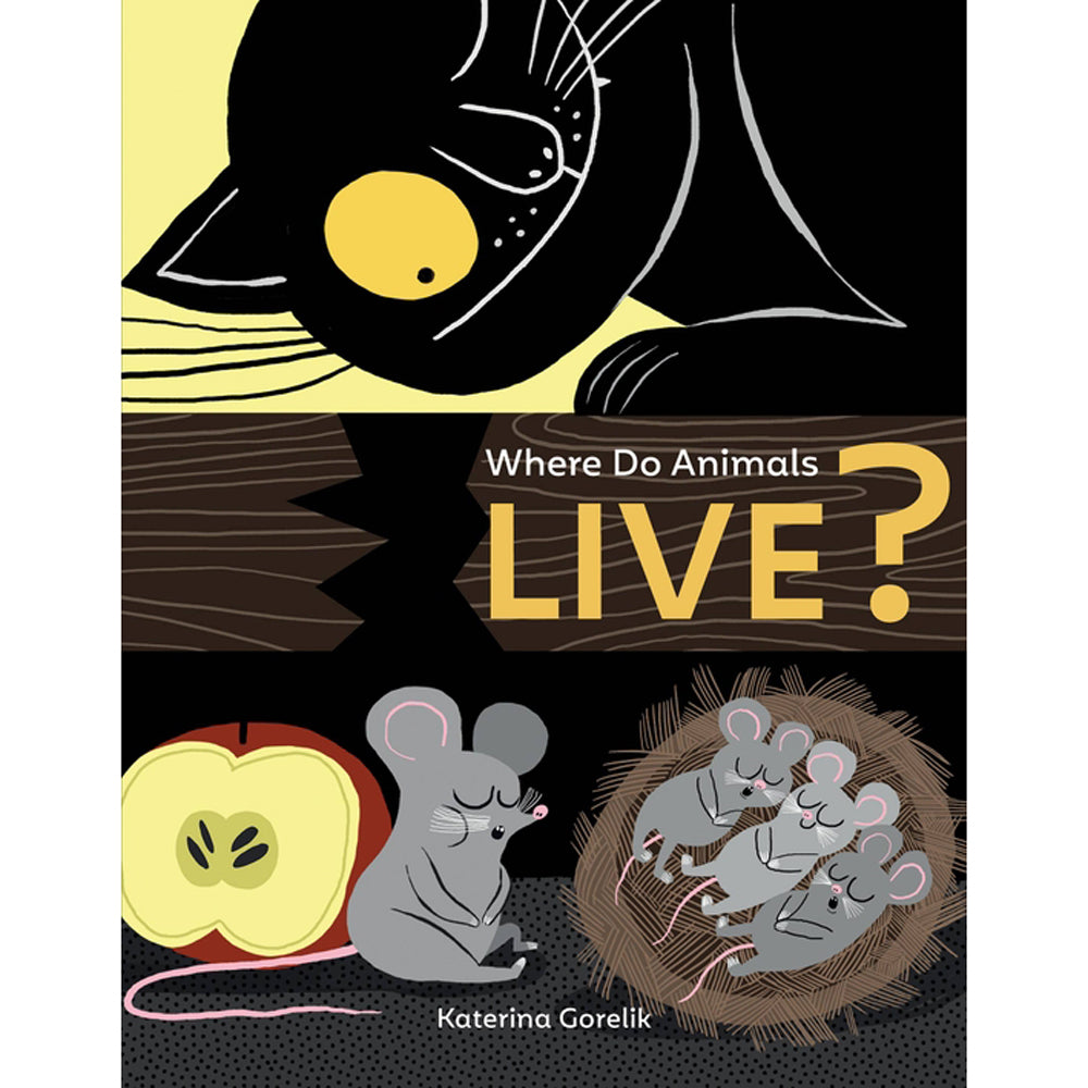 Where Do Animals Live? Children's Book