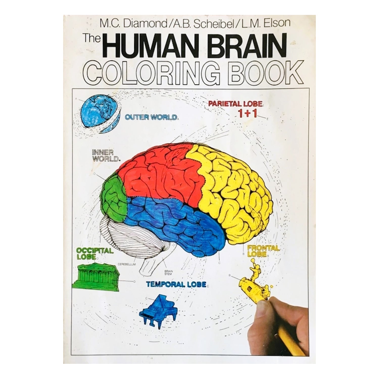 Human Brain Coloring Book