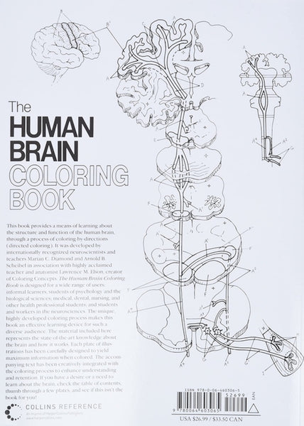 Human Brain Coloring Book