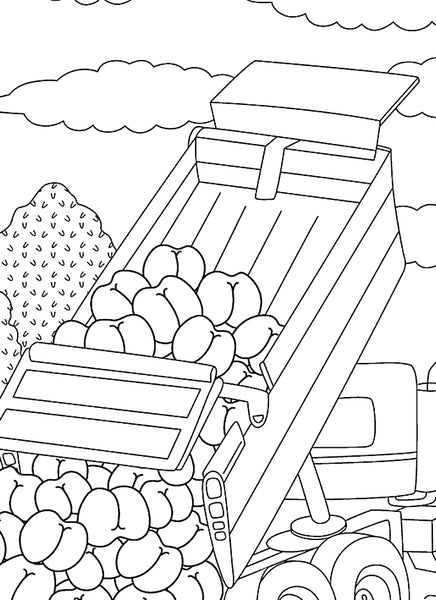 The Ultimate Butt: A Coloring and Activity Book