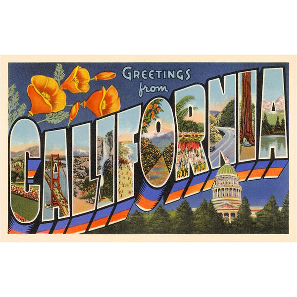 California State Poppy Postcard