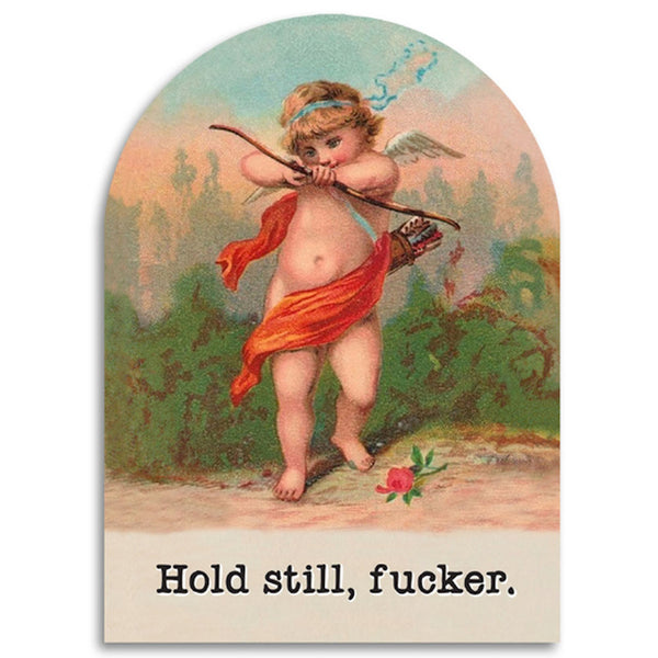 Hold Still Cupid's Valentine Card