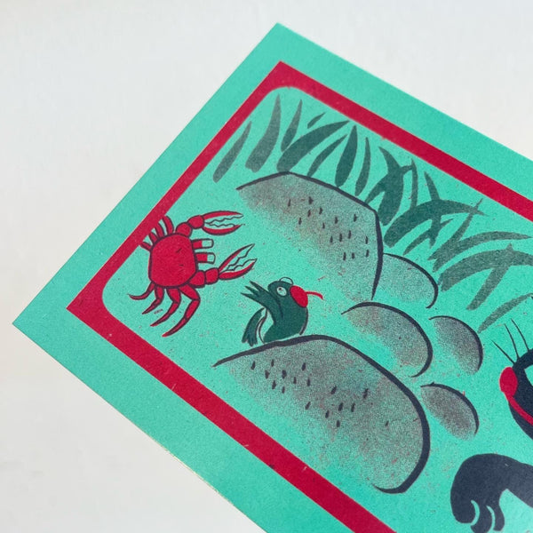 Cat Frog Crab Postcard