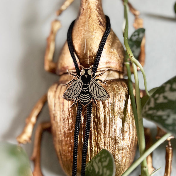 Black Fly Bolo Tie