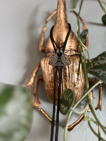 Black Fly Bolo Tie