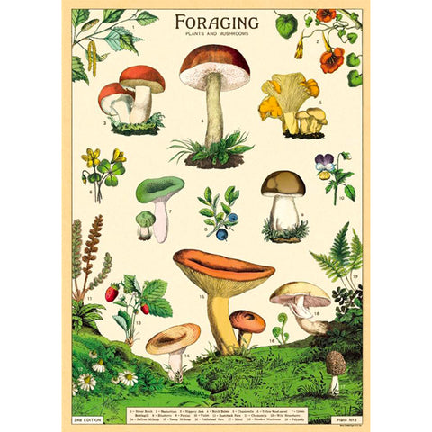 Foraging Fungi Gift Wrap Poster