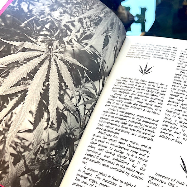 Parent's Guide to Marijuana - Vintage 1976