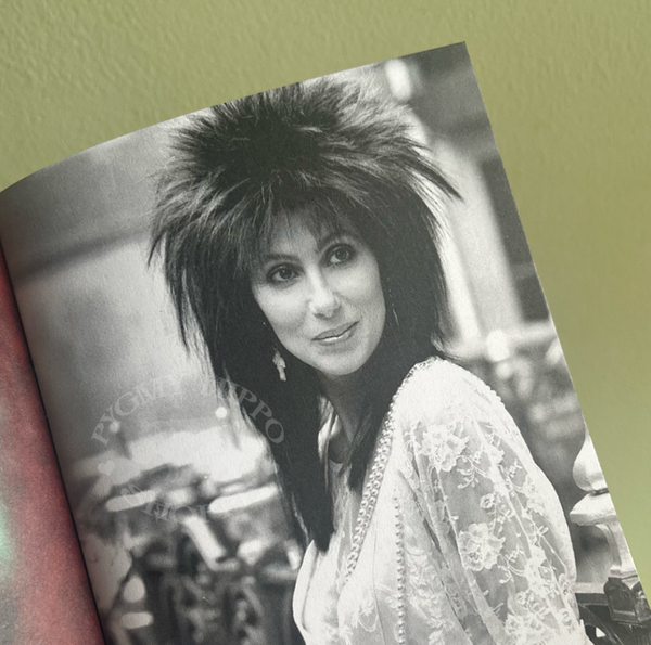 A Cher Fanzine