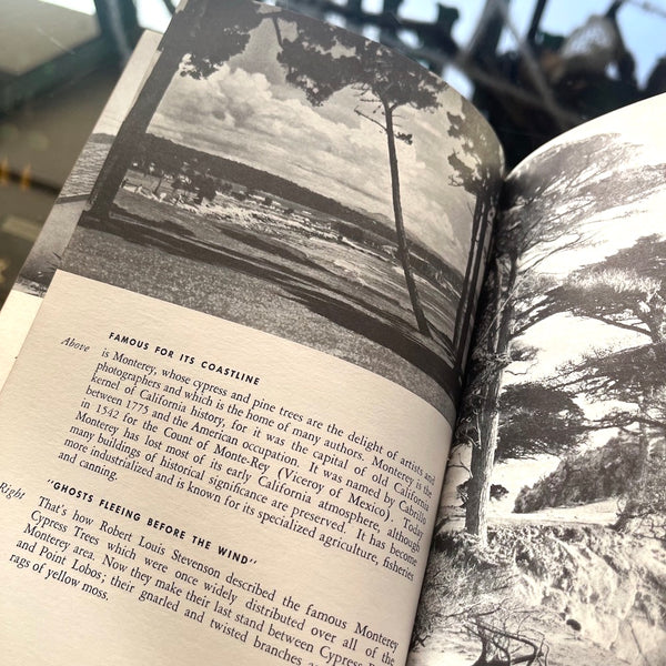 California Lure - Vintage 1953