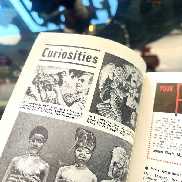 Sexology: America's First Sex Ed Magazine - Vintage February 1964