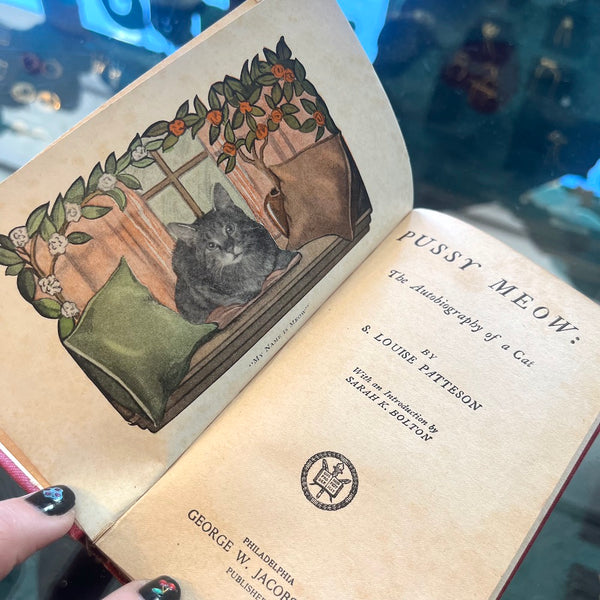 Pussy Meow: The Autobiography Of A Cat - Vintage 1903