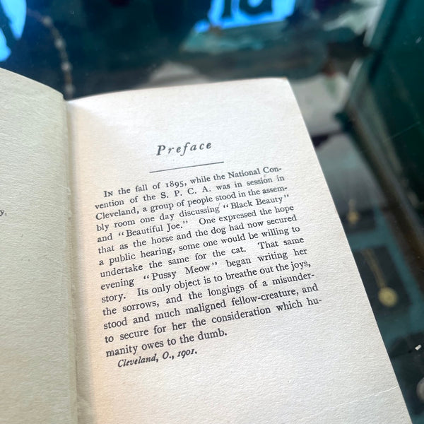 Pussy Meow: The Autobiography Of A Cat - Vintage 1903
