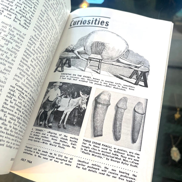 Sexology: America's First Sex Ed Magazine - Vintage July 1964