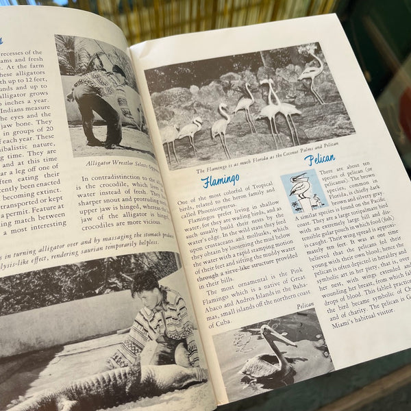 Highlights of Greater Miami - Vintage 1959