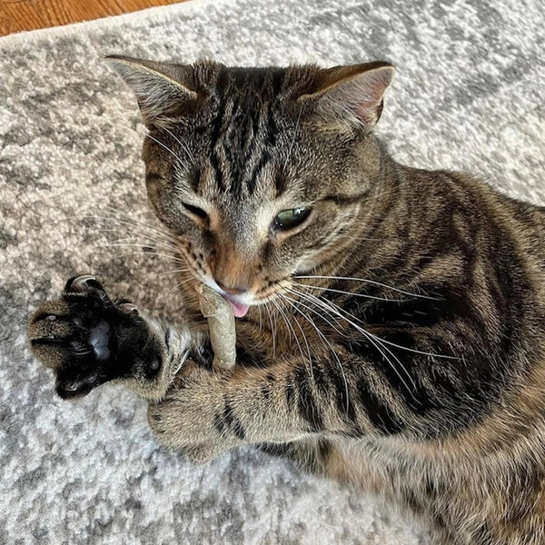 Cat Nip Joints