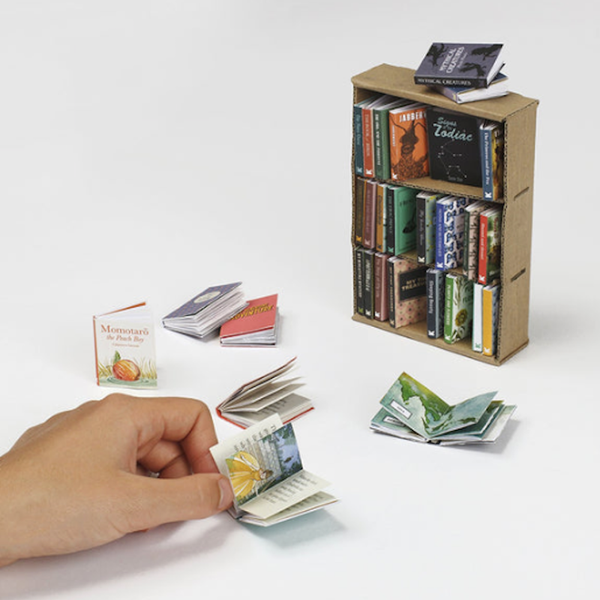 Mini DIY Library: 30 Tiny Books to Make & Read!