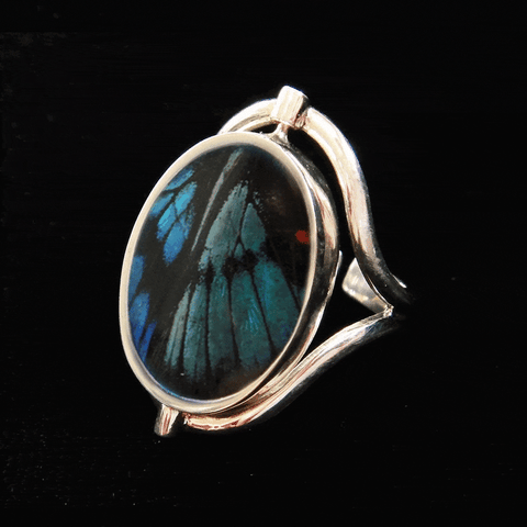 Real Butterfly Wing Ring