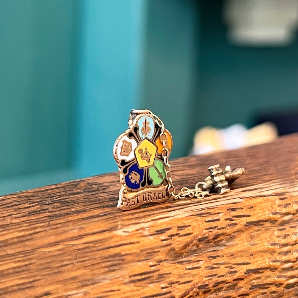 Vintage 1940's Past Oracle Pin – Pygmy Hippo Shoppe