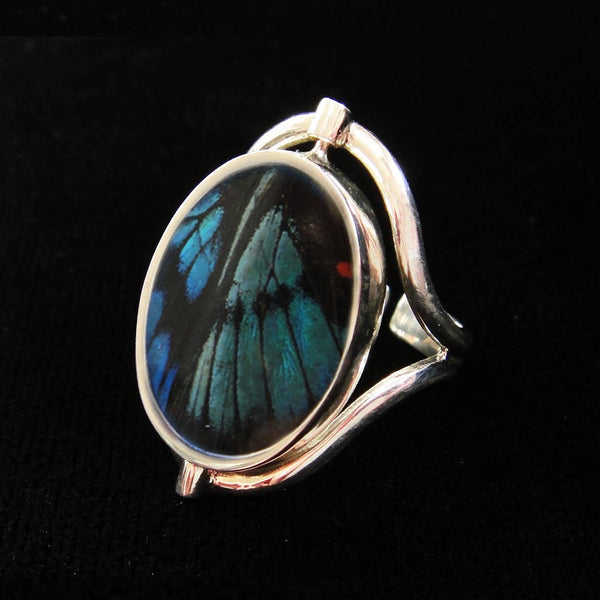 Real Butterfly Wing Ring