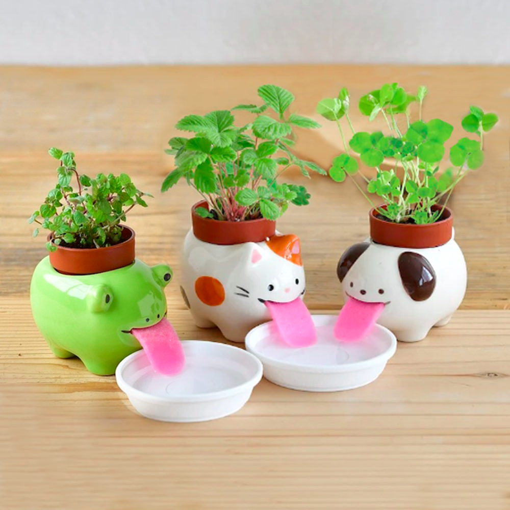 PETPLANTERS_c540c512-70ba-4f97