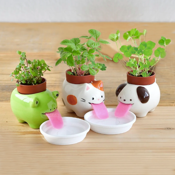 Drinking Pet Planter