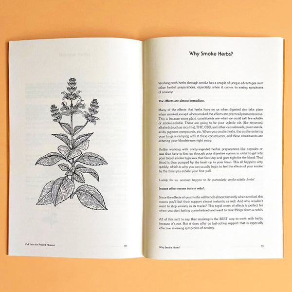 Puff Into the Present Moment - Herbal Blends to Ease Anxiety