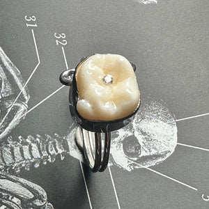 Human Tooth and Crystal Ring