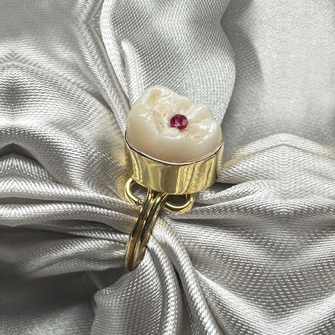 Human Tooth and Ruby Ring