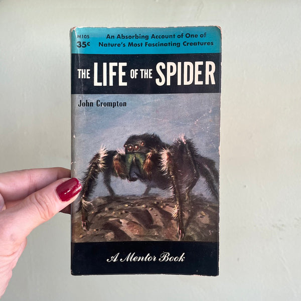 The Life of the Spider - Vintage 1954