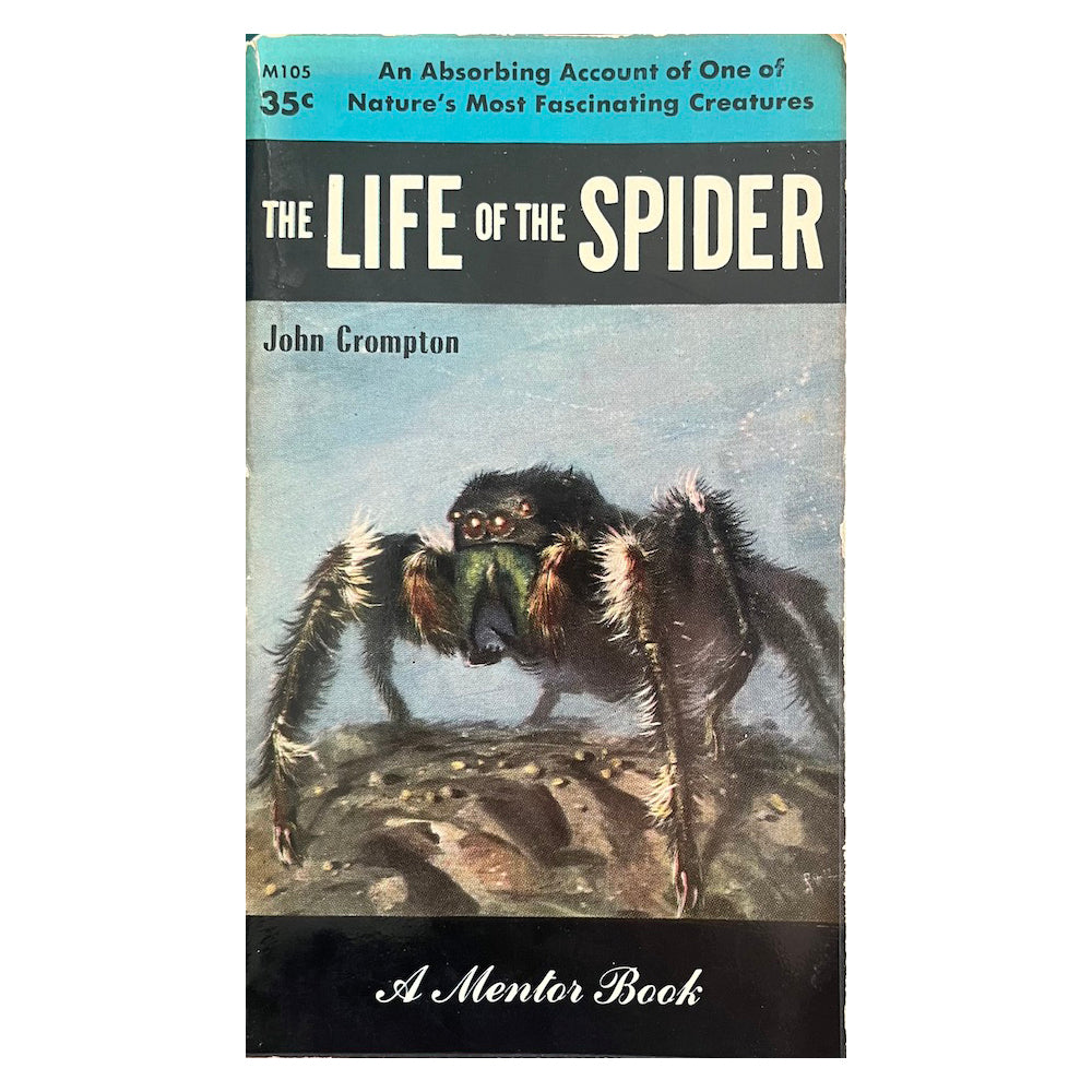 The Life of the Spider - Vintage 1954