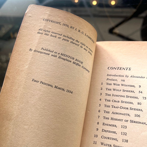 The Life of the Spider - Vintage 1954