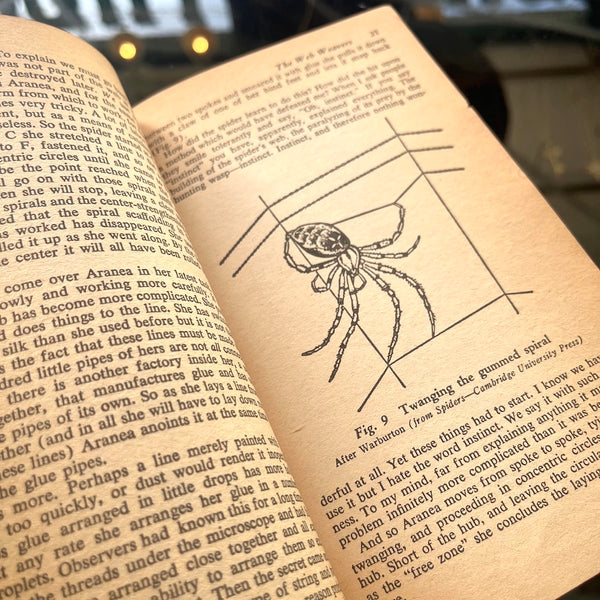 The Life of the Spider - Vintage 1954