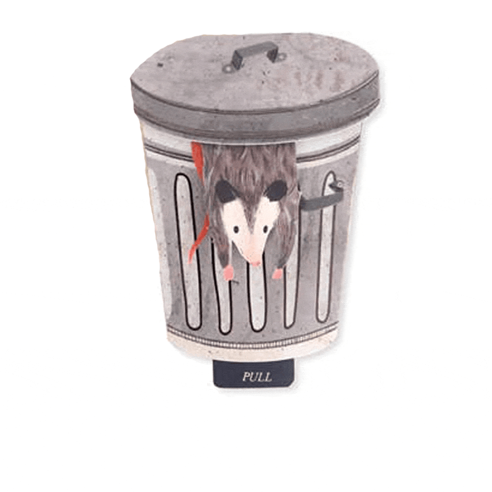 Let's Get Trashed Possum Pop-Up Card | Funny Animal Card | Party Humor Pygmy Hippo Shoppe Let's Get Trashed Possum Pop-Up Card | Funny Animal Card | Party Humor Pygmy Hippo Shoppe
