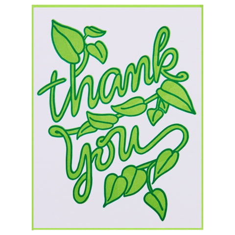 Vining Plant Thank You Card - Box of 6