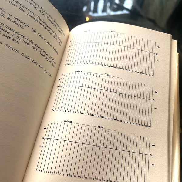 Is This Your Day? - Vintage 1973