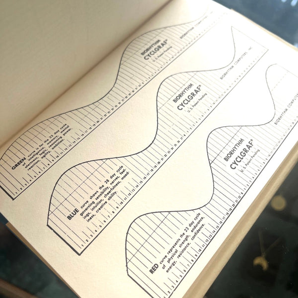 Is This Your Day? - Vintage 1973