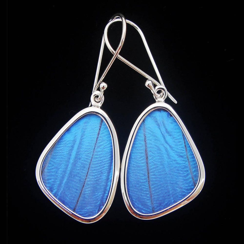 Butterfly Wing Earrings - Blue Morpho