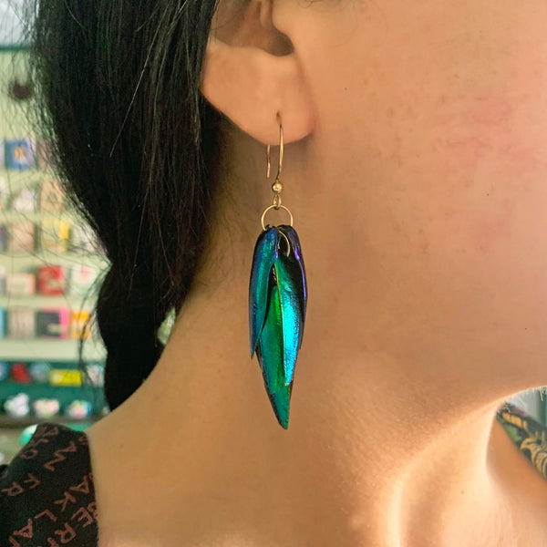 Jewel Beetle Earrings