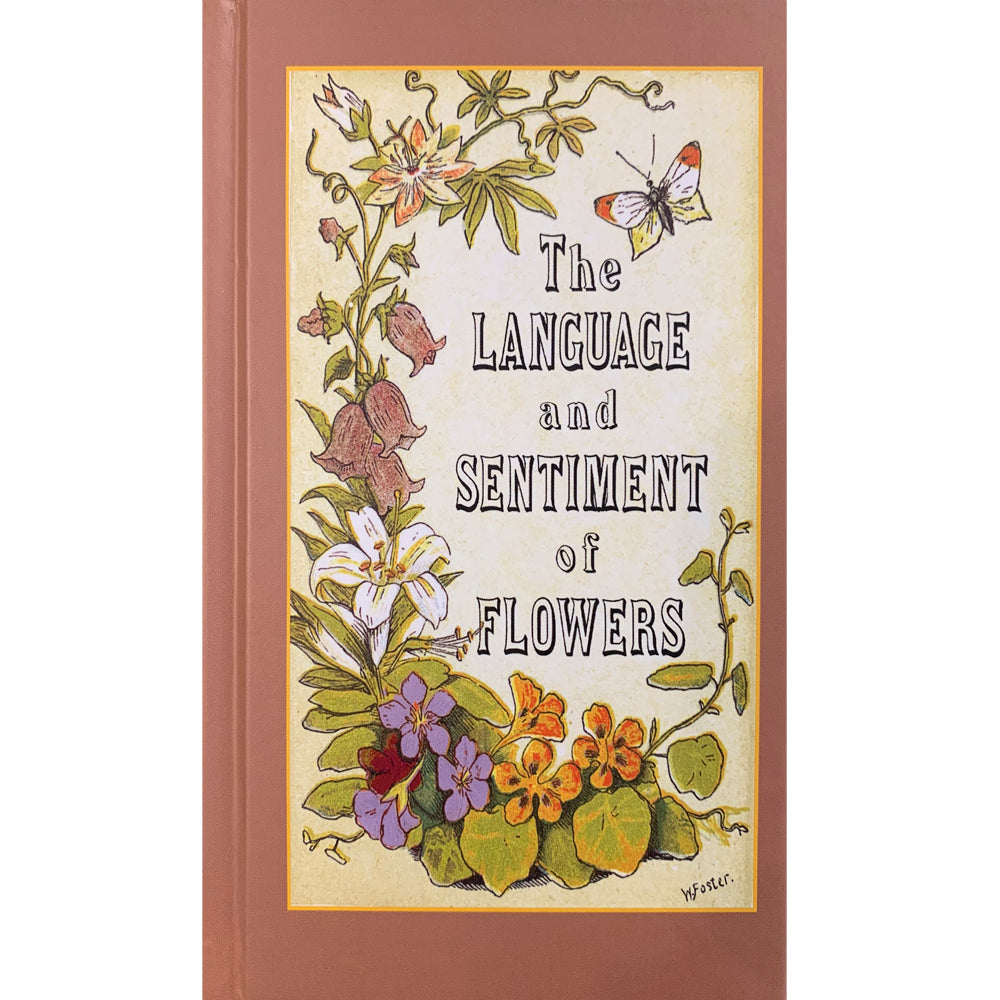 The Language & Sentiment of Flowers - Victorian Floral Dictionary