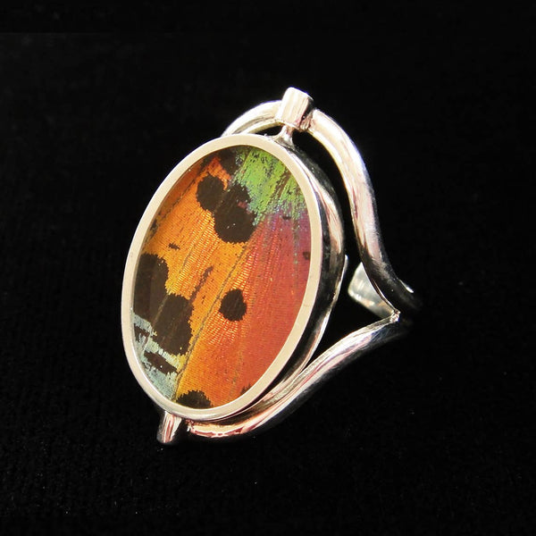Reversible Butterfly Wing Ring