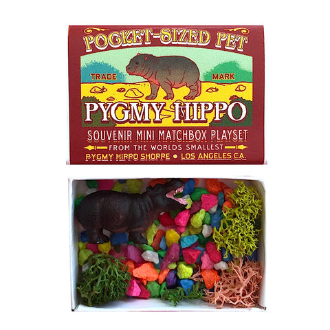 Pet Pygmy Hippo