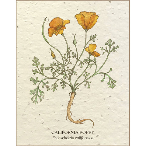 California Poppy - Plantable Seed Paper Card